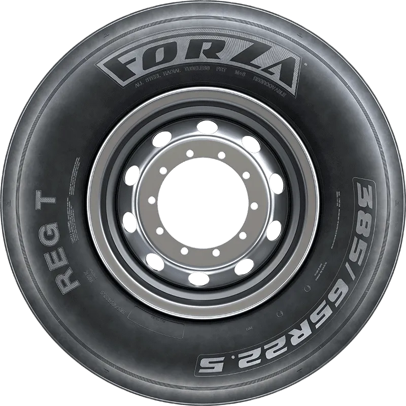 FORZA REG T в Чистополе — KAMA TYRES FORZA REG T в Чистополе